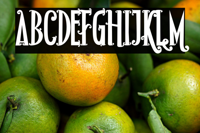 Rio Frescata Demo Example 3