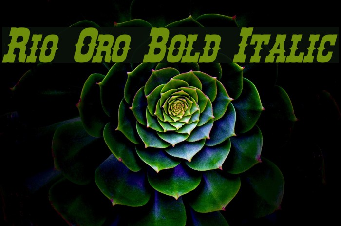 Rio Oro Bold Italic Font examples
