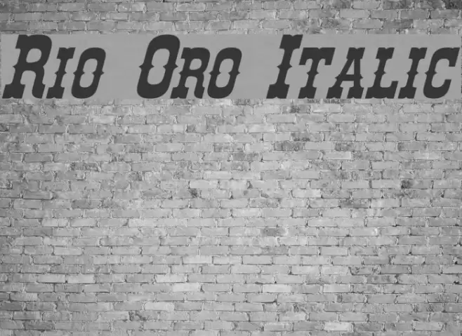 Rio Oro Italic Font examples