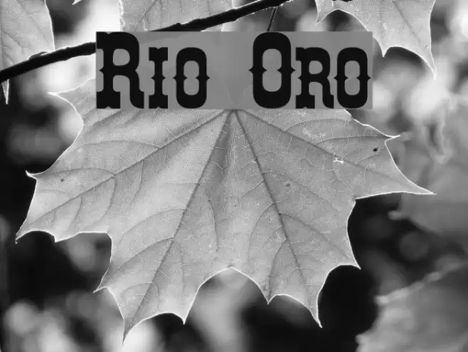 Rio Oro Font examples