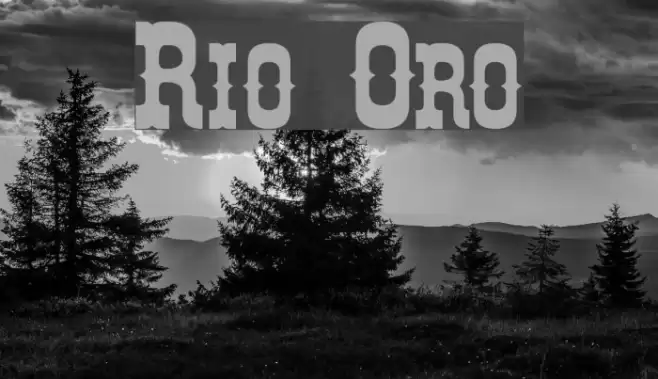Rio Oro Font examples