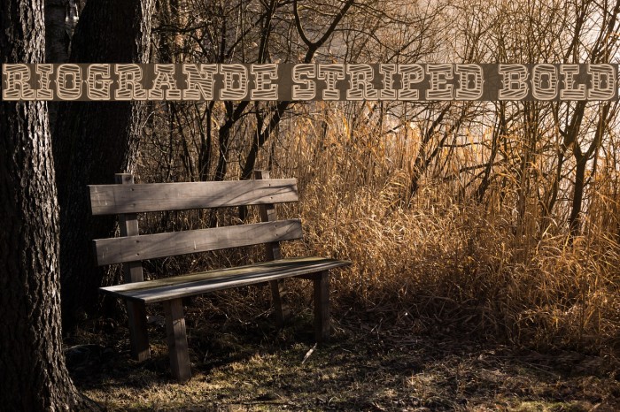 RioGrande Striped Bold Font examples