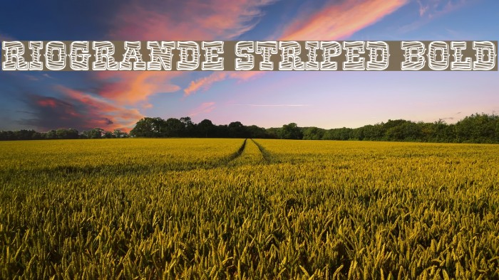RioGrande Striped Bold Font examples