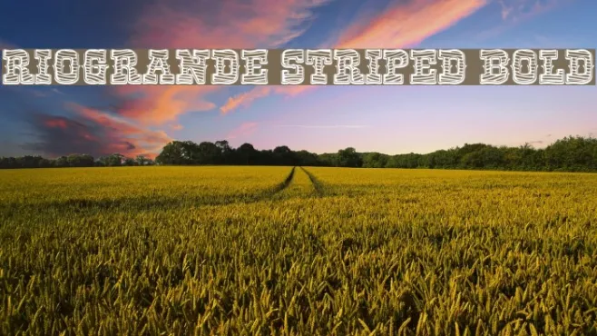 RioGrande Striped Bold Example 3