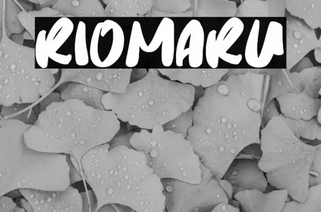 Riomaru Font examples