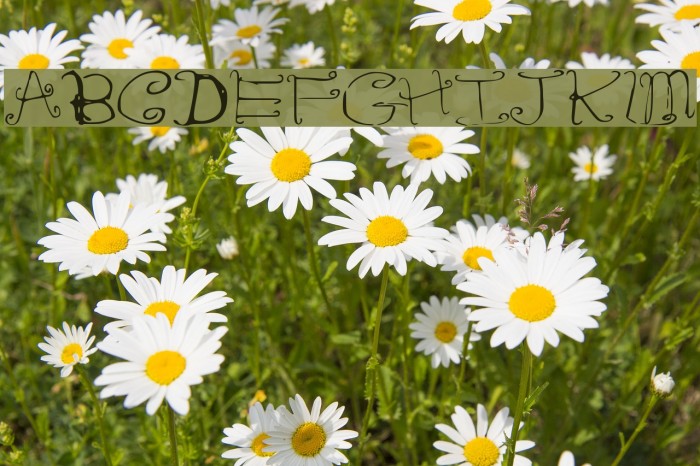 RiordonFancy Font examples