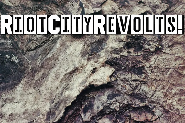 Riot City Revolts! Example 2