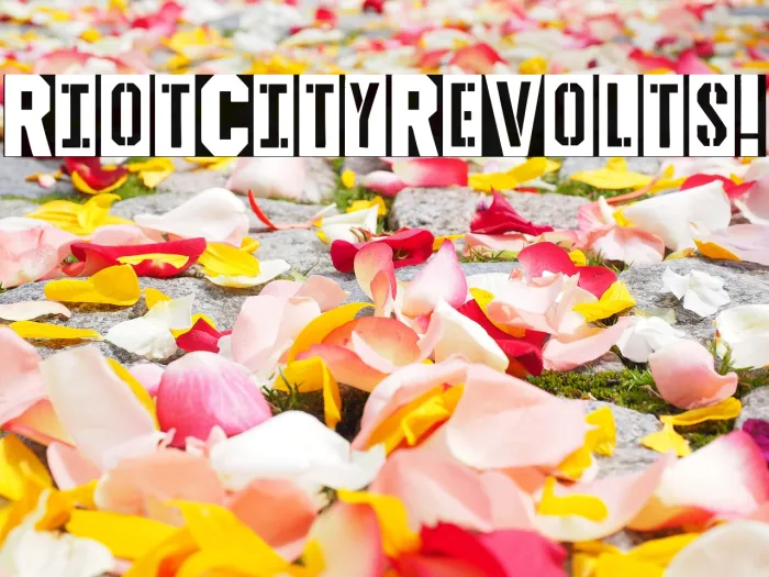 Riot City Revolts! Example 3