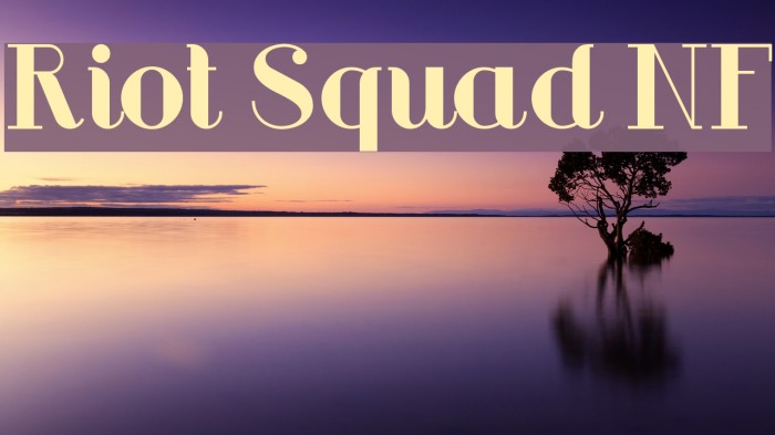 Riot Squad NF Caratteri examples
