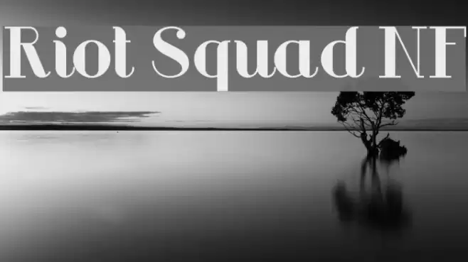 Riot Squad NF Caratteri examples