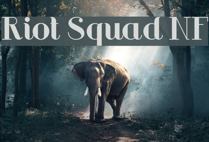 Riot Squad NF Caratteri examples