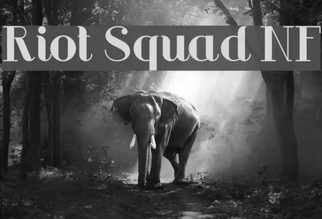 Riot Squad NF Caratteri examples