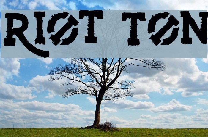 Riot Ton Font examples