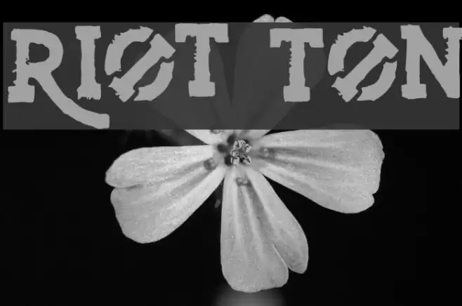 Riot Ton Font examples