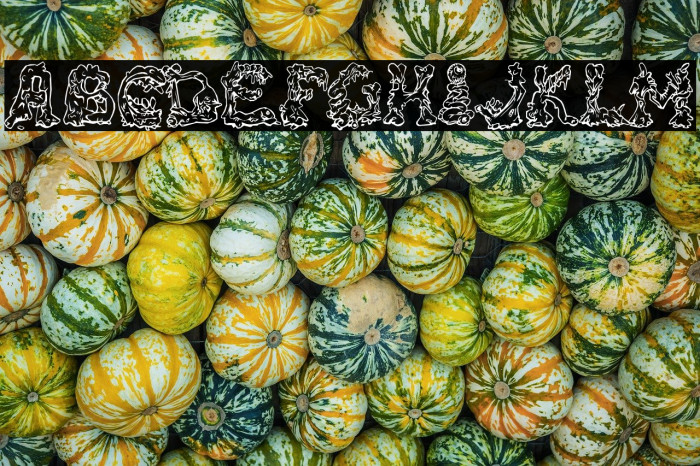 RiotActTwo-Regular Example 3