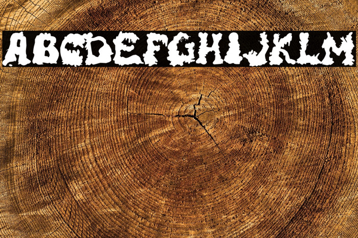 RiotActTwoBack-Regular Example 1