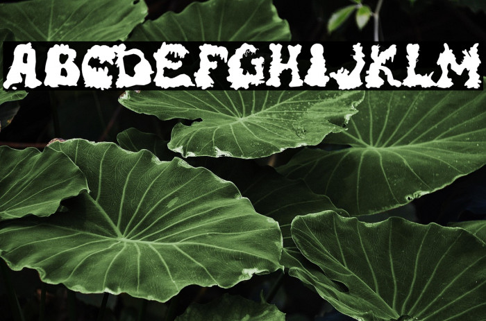 RiotActTwoBack-Regular Example 2