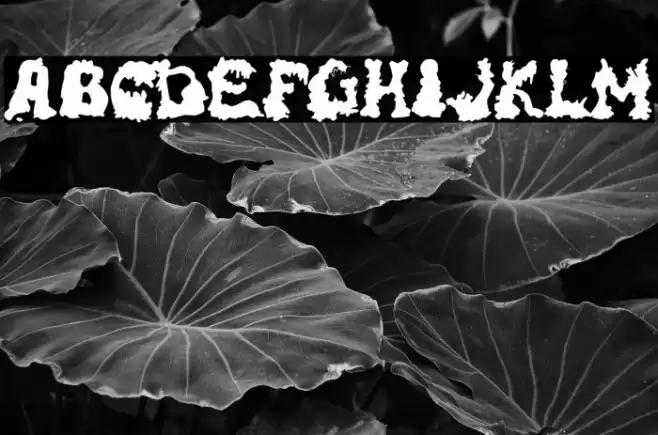 RiotActTwoBack-Regular Font examples