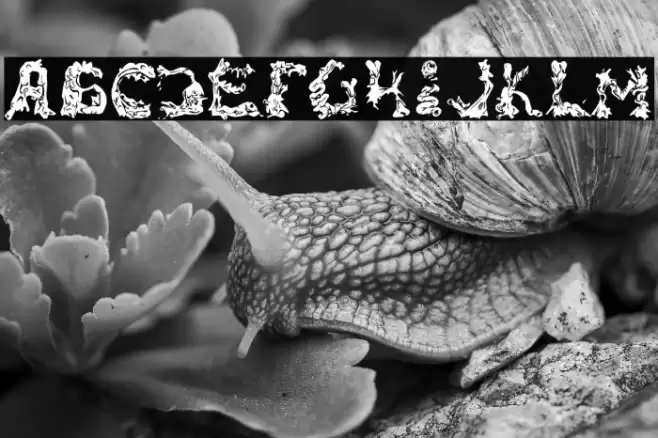 RiotActTwoFront-Regular Font examples