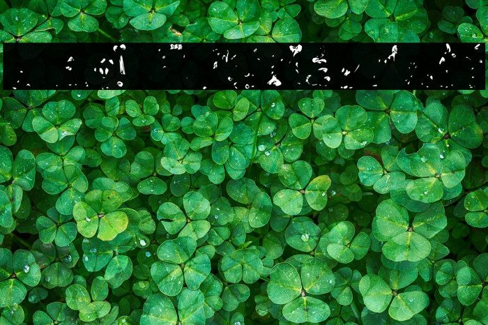 RiotActTwoGlop-Regular Example 2