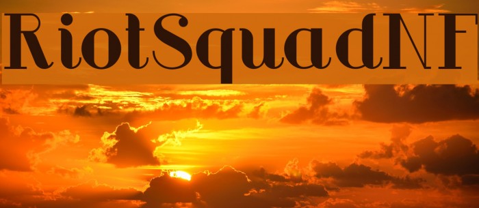 RiotSquadNF Example 1