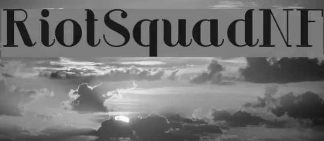 RiotSquadNF Font examples