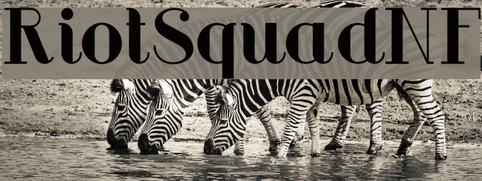 RiotSquadNF Example 2
