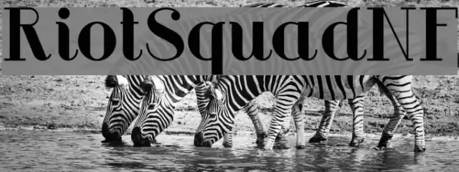 RiotSquadNF Font examples