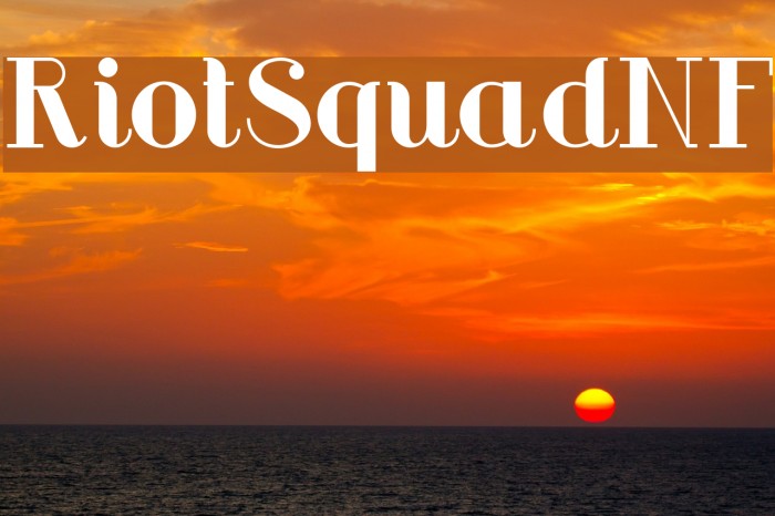 RiotSquadNF Example 3