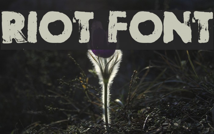 Riot Font examples