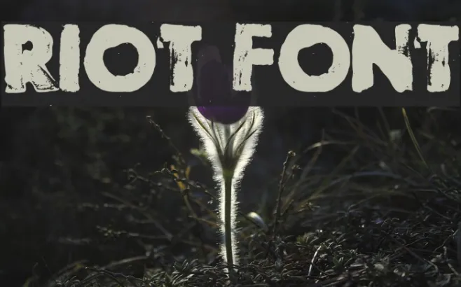 Riot Example 2
