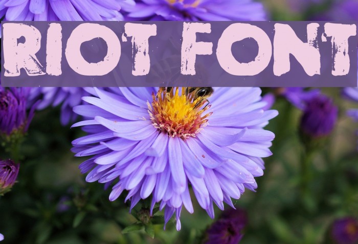 Riot Font examples