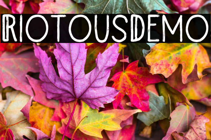 RiotousDemo Example 1