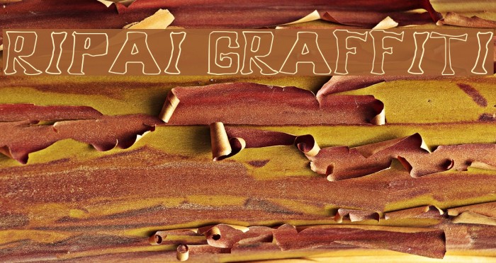 Ripai Graffiti Font examples