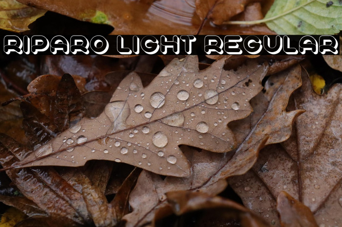 Riparo Light Regular Example 2