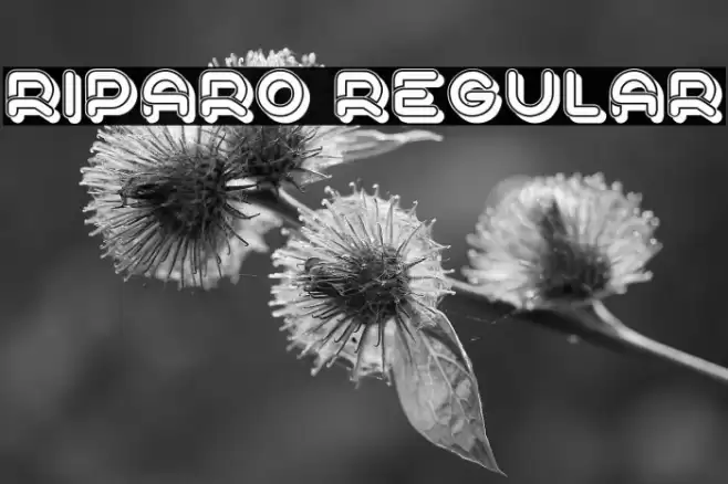 Riparo Regular Font examples
