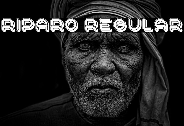 Riparo Regular Example 2