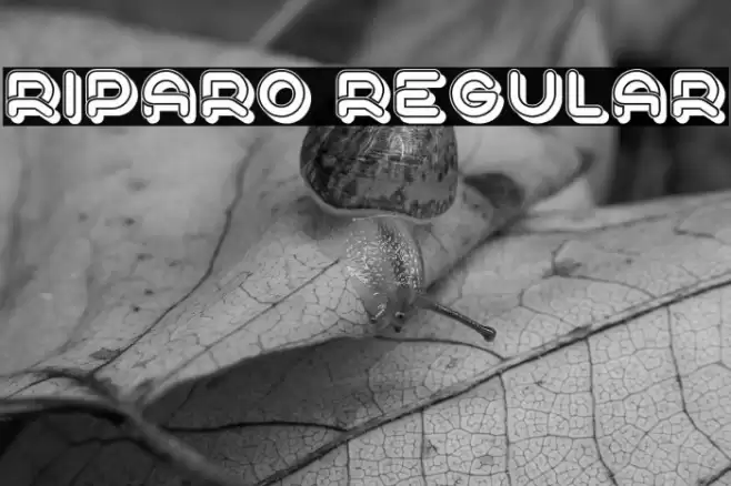 Riparo Regular Font examples