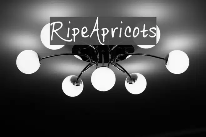 RipeApricots フォント examples