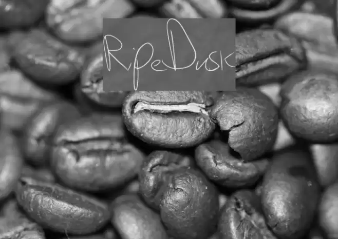 RipeDusk Font examples