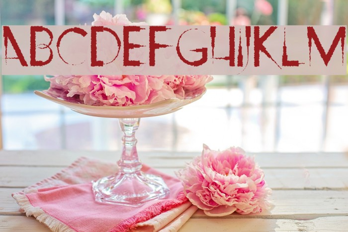 Ripley's Claws Example 1