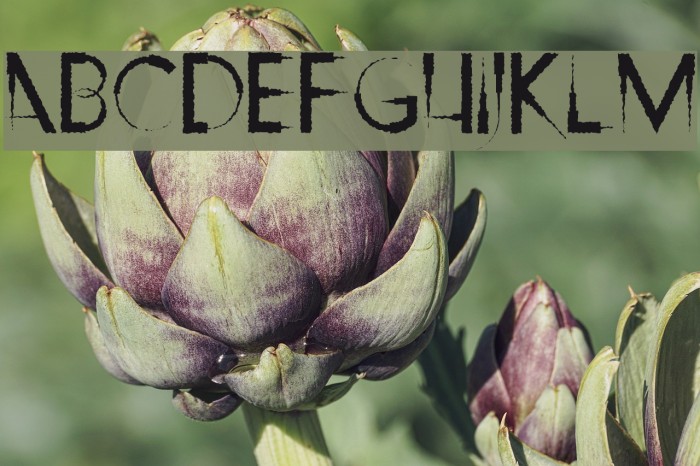 Ripley's Claws Example 2