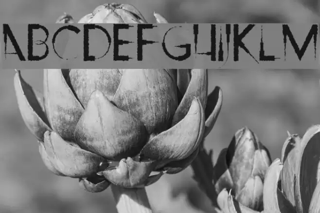 Ripley's Claws Font examples