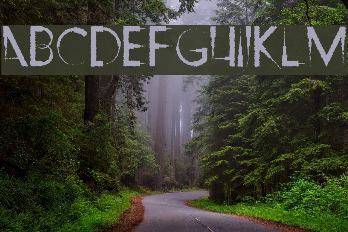 Ripley's Claws Example 3