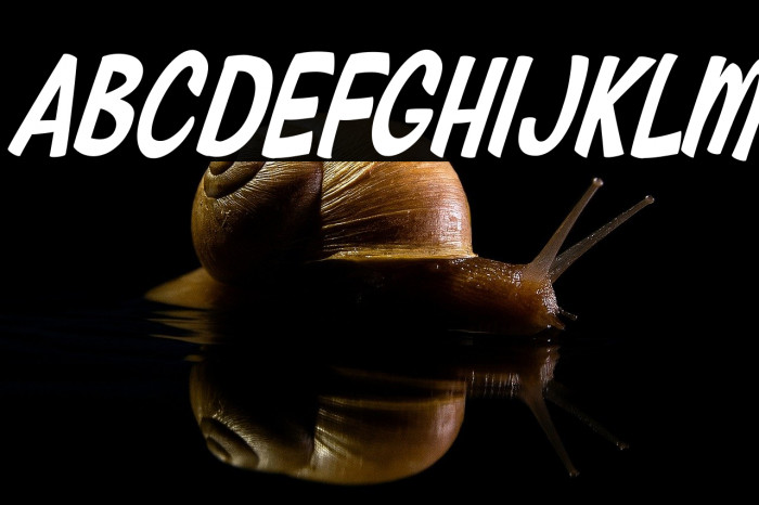 Ripmonsters Personal Use  Example 2