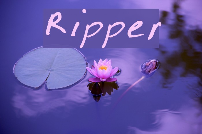 Ripper Font examples
