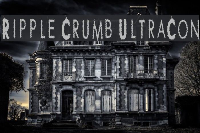 Ripple Crumb UltraCon Font examples
