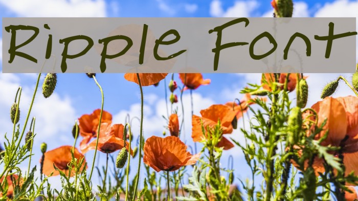 Ripple Font Font examples