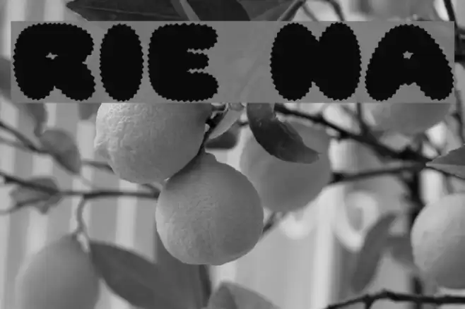 Ripple Normal Font examples