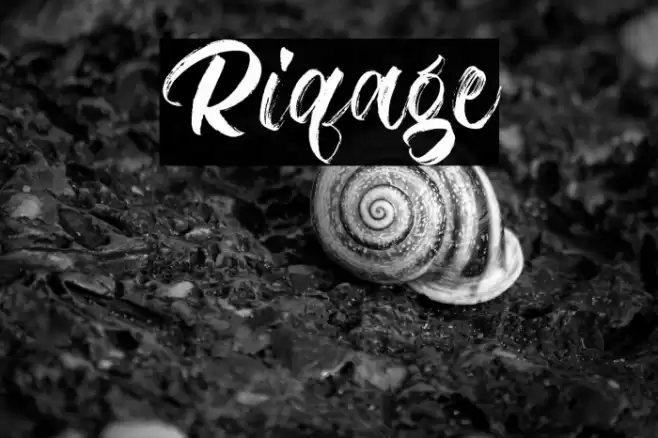 Riqage Font examples